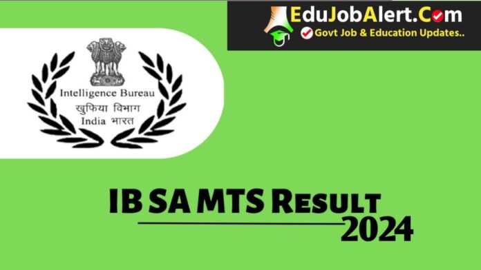 IB SA MTS Result 2024