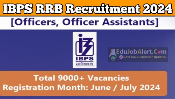 IBPS RRB Recruitment 2024