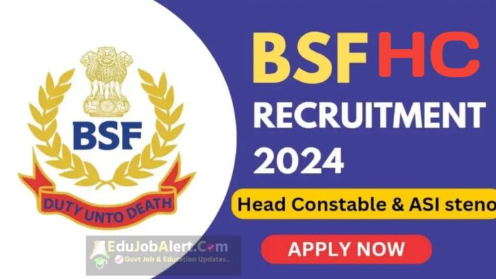 BSF HC Recruitment 2024