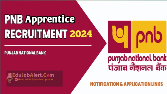 PNB Apprentice Recruitment 2024