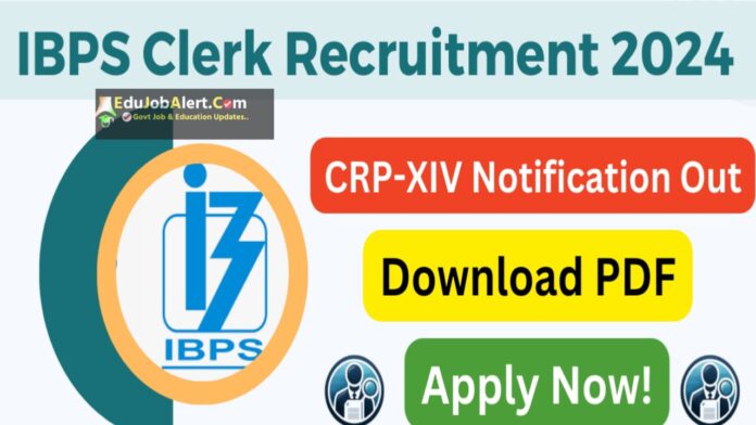 IBPS Clerk Recruitment 2024