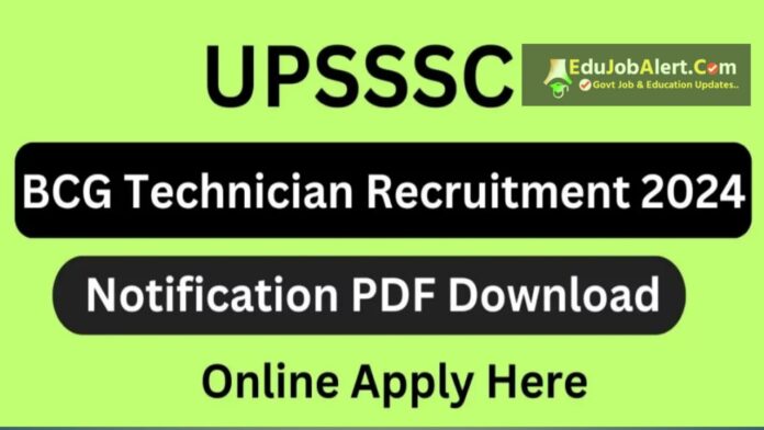 BCG Technician Recruitment 2024